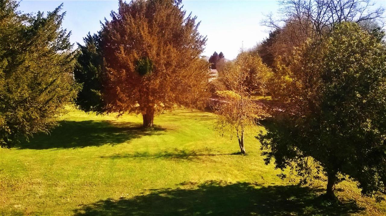 Auberge de jeunesse Domaine de Surgy Extérieur photo